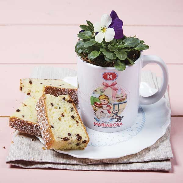 Torta allo yogurt con gocce di cioccolato