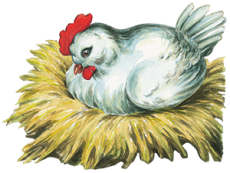 La gallina di Mariarosa