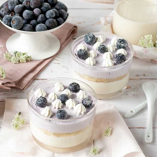 Panna cotta bigusto