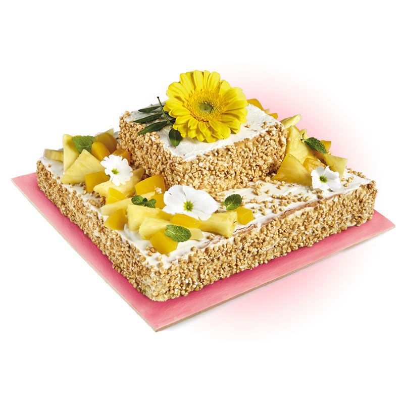 Torta quadrata con Pan di Spagna Mariarosa