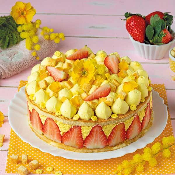 Torta mimosa senza cottura alle fragole